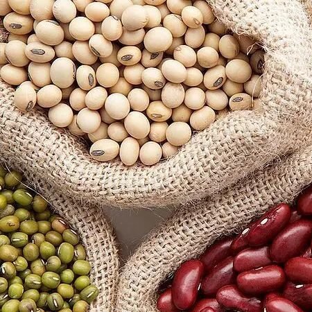 guía básica sobre frijoles y cómo incluirlos en una hamburguesa